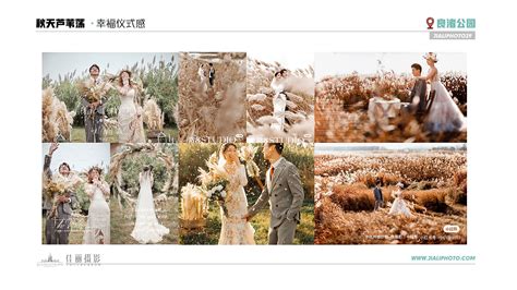 婚纱摄影行业企划包装广告设计_min375489166-站酷ZCOOL