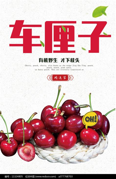 车厘子水果海报设计图片_海报_编号11324805_红动中国