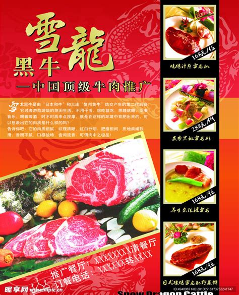 雪龙牛肉推广海报设计图__菜单菜谱_广告设计_设计图库_昵图网nipic.com