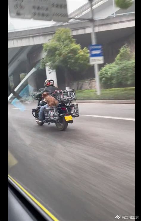 摩托车情侣图片 情侣摩托车骑行的照片(2)_配图网