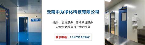 文山GMP药厂技术夹层净化(厂,厂家,价格,设备,公司,联系电话,工程) -- 云南中为净化科技有限公司