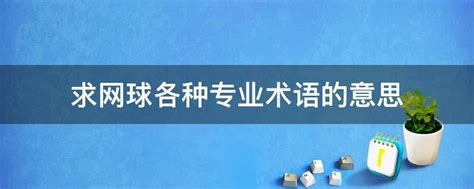 SEO专业指南：企业搜索引擎优化详解 - 黄伟SEO博客