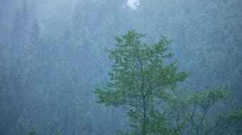 暴雨来袭 广西喀斯特地貌山区受灾严重_腾讯视频