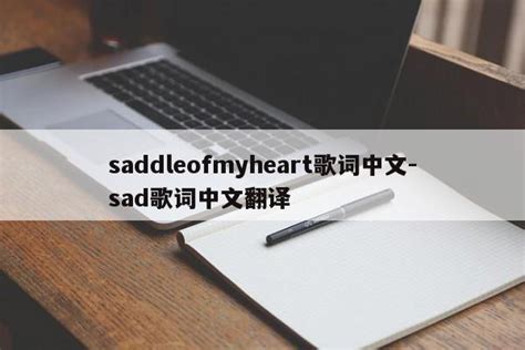 saddleofmyheart歌词中文-sad歌词中文翻译-三酷猫软件站