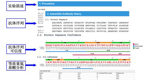 蛋白全序列测定_蛋白质全序列测序_蛋白序列测序_蛋白全长测序|百泰派克生物科技