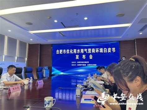 中国（合肥）国际智能语音产业园一期孵化园B区项目_合肥工投工业科技发展有限公司