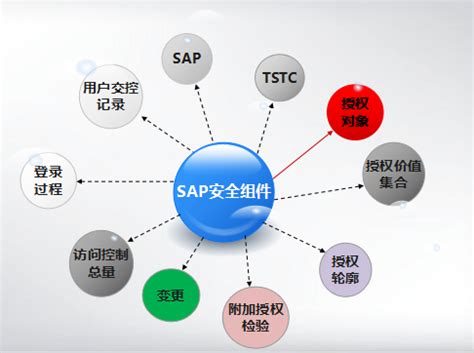 浅谈企业SAP实施与控制