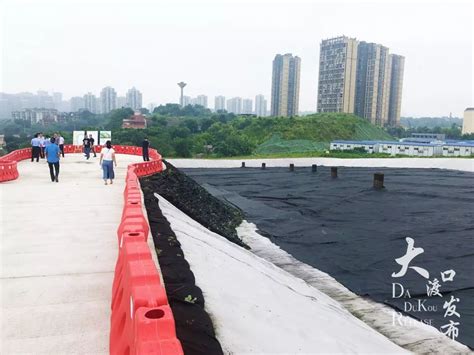 重庆统一污染环境犯罪量刑标准——人民政协网