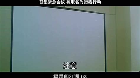 福星闯江湖03——召集紧急会议 被取名为猎猪行动