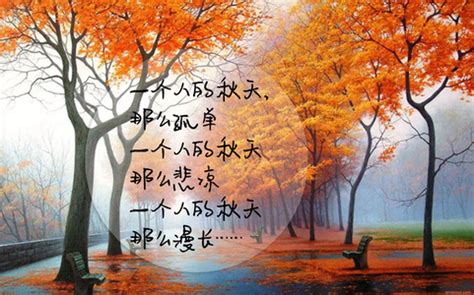 描写秋天的诗句赏析-描写秋天的诗句，有赏析