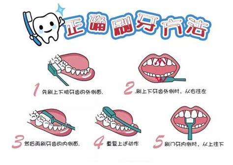 正确的刷牙方法（巴氏刷牙法）-京东健康