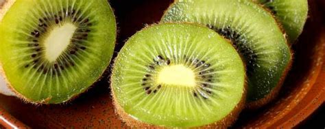 猕猴桃的功效与作用——水果养生食物