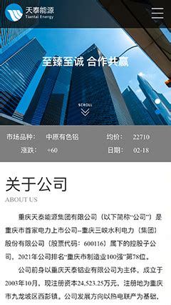 天泰能源_能源_新能源_天泰集团网站建设案例-九度重庆网站制作公司