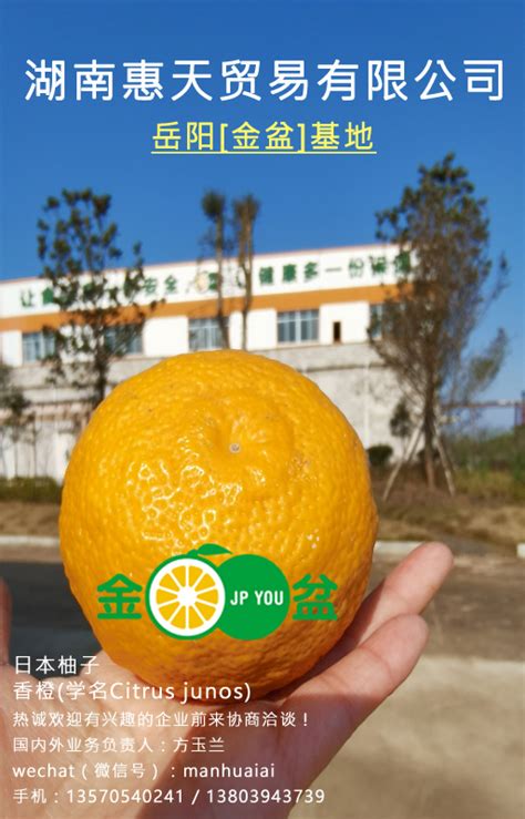 广西水果进出口量位居全国第一！-出口外贸代理|上海外贸进出口公司