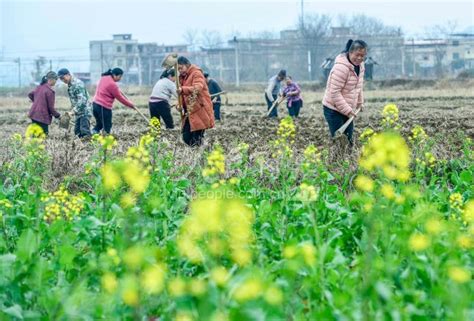 湖南道县：雨水将至农事忙-人民图片网