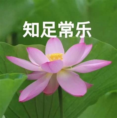 老年人头像图片