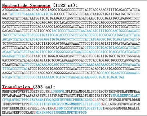 用SnapGene软件进行DNA序列比对 - 知乎