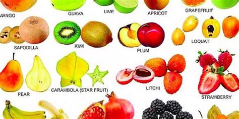 水果大全大图片分类,单个水果图片大全大图_大山谷图库