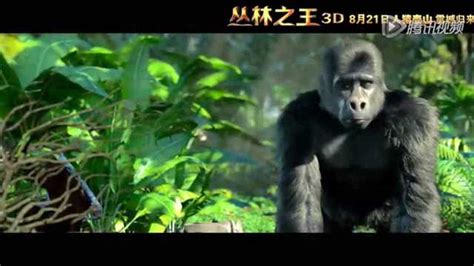 《人猿泰山》中明星黑猩猩去世-享年80岁创纪录_生物探索