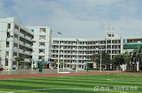 深圳各区小学排名2020名单一览—查查吧深圳学区地图