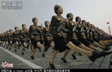 朝韩两国的靓丽女兵 截然不同的美女风貌_手机新浪网