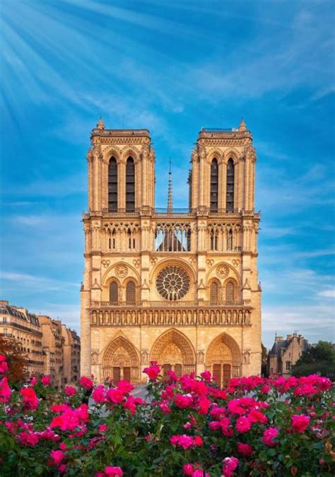 2019巴黎圣母院_旅游攻略_门票_地址_游记点评,巴黎旅游景点推荐 - 去哪儿攻略社区