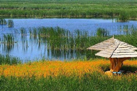2024伊春红星湿地国家级自然保护区旅游攻略-门票价格-景点信息_旅泊网
