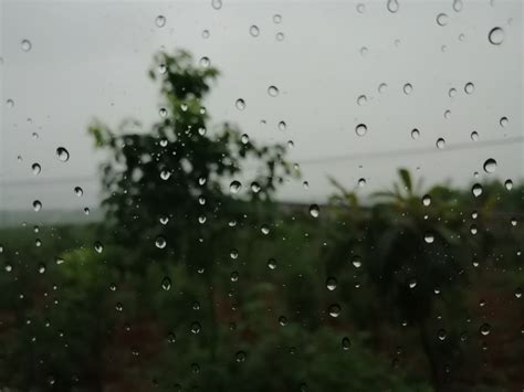 雨=͟͟͞͞雨=͟͟͞͞雨=͟͟͞͞到处都是雨！河南八地有雨，收麦子的朋友快看-大河新闻
