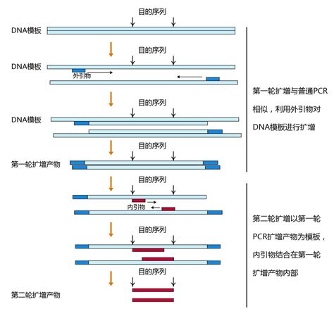全基因组测序新技术——单细胞基因测序 - 91360智慧病理网