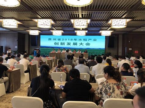 2018年水稻产业创新发展大会在湄潭召开 - 当代先锋网 - 湄潭县