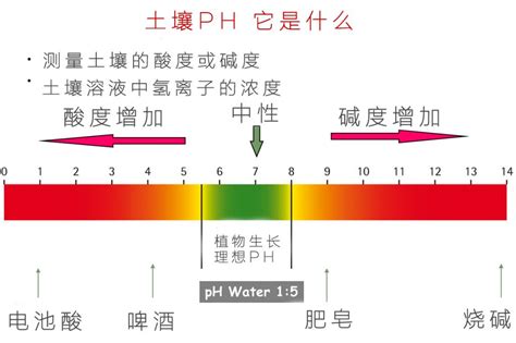 江西九江鱼塘水质在线监测系统案例-深圳市猫头鹰智慧科技有限公司