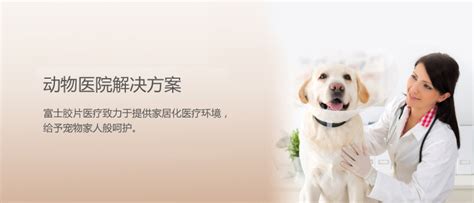 上海市宠物业行业协会