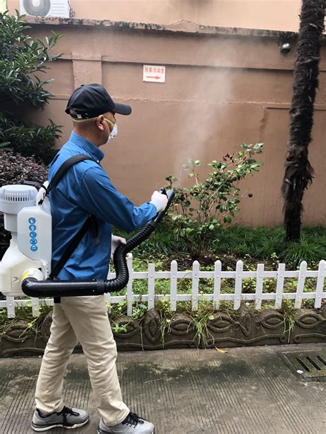 超长梅雨季走了，但“后遗症”来了！近期蚊虫孳生呈上升趋势，上海集中灭蚊三个月_视觉 _ 文汇网