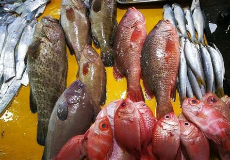 买这5种海鱼，便宜又好吃，鱼铺老板都要夸你懂行|巴浪鱼|金线鱼|鲈鱼_新浪新闻