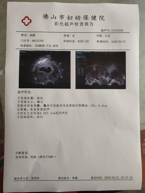 怀孕三个月是多少周，胎儿3个月、6个月、10个月的时候分别有多大 - 科猫网