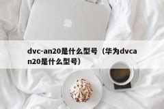 dvc-an20是什么型号（华为dvcan20是什么型号） | 科识百科网