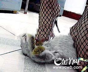 高跟鞋踩杀小猫 女子虐猫图激怒网民_业界-中关村在线