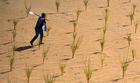 支付宝：蚂蚁森林已经种下5552万棵真树-支付宝,蚂蚁森林,植树,沙漠,荒漠,公益,能量 ——快科技(驱动之家旗下媒体)--科技改变未来