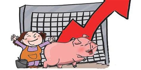 农业农村部：下半年猪价同比或涨七成_手机新浪网