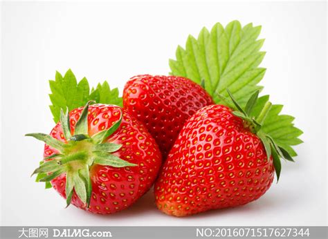 丹东草莓图片_水果洽购网