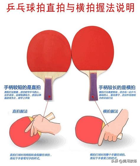 乒乓球双打比赛规则详细讲解（乒乓球应该怎么打？） | 说明书网