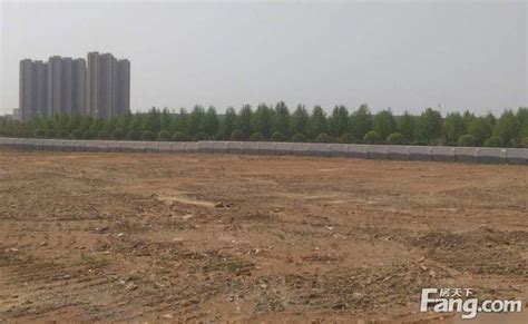 广东茂名市高州16000亩林地让利合作承包经营-农村土地网