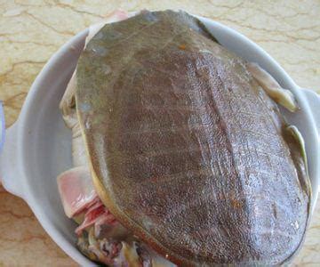炖甲鱼炖多长时间可以吃
