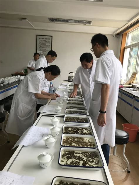 王庆会长赴印度尼西亚出席亚洲茶叶会议 - 中国茶叶流通协会