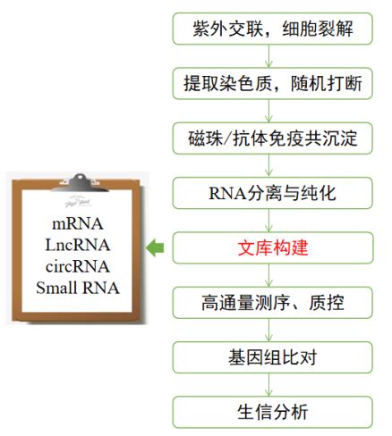 RNA编辑领域前世今生——与CRISPR和张锋博士的不解之缘_生物探索