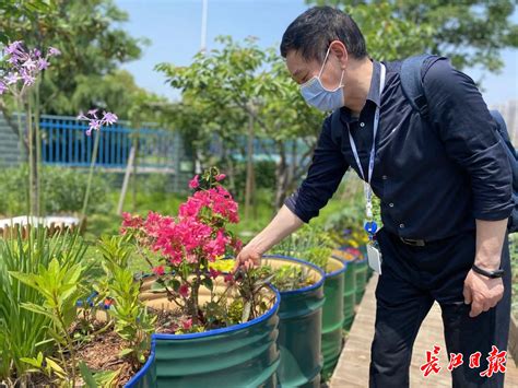 这家“绿色工厂”有个小菜园，员工吃的蔬菜不用买_要闻_新闻中心_长江网_cjn.cn