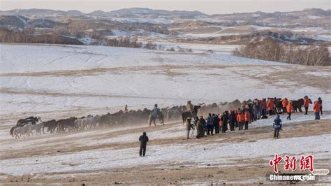 内蒙古赤峰冬季跑马吸引众多游客 - 今日新闻 梅州时空