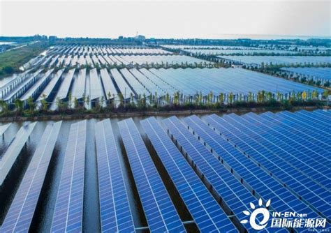 总投资5亿元！广东茂名镇江即将建设100MW农光互补光伏发电基地-国际太阳能光伏网