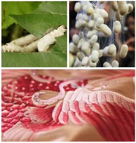 「丝路遗珍」丝织品展 - 每日环球展览 - iMuseum