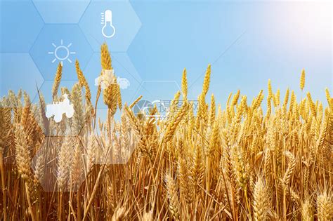 科技农业图片素材-正版创意图片401913816-摄图网